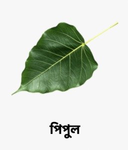 WhatsApp Image 2025-09-27 at 16.40.03_07602de2