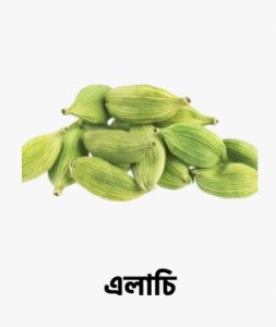 WhatsApp Image 2025-09-27 at 16.40.04_06371915