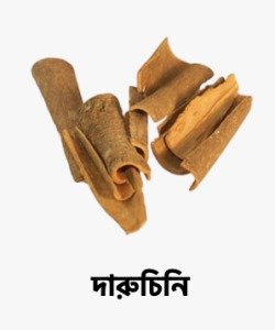 WhatsApp Image 2025-09-27 at 16.40.04_09306083