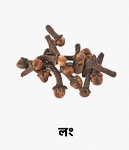 WhatsApp Image 2025-09-27 at 16.40.04_0ff14567