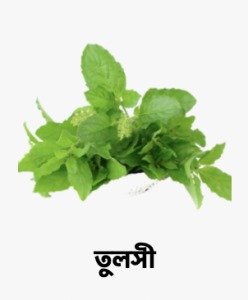 WhatsApp Image 2025-09-27 at 16.40.04_4014b108