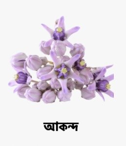 WhatsApp Image 2025-09-27 at 16.40.04_48084d3c