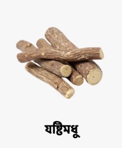 WhatsApp Image 2025-09-27 at 16.40.04_a52cea1b