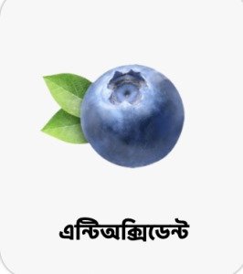 WhatsApp Image 2025-09-27 at 16.40.04_ee3c267f